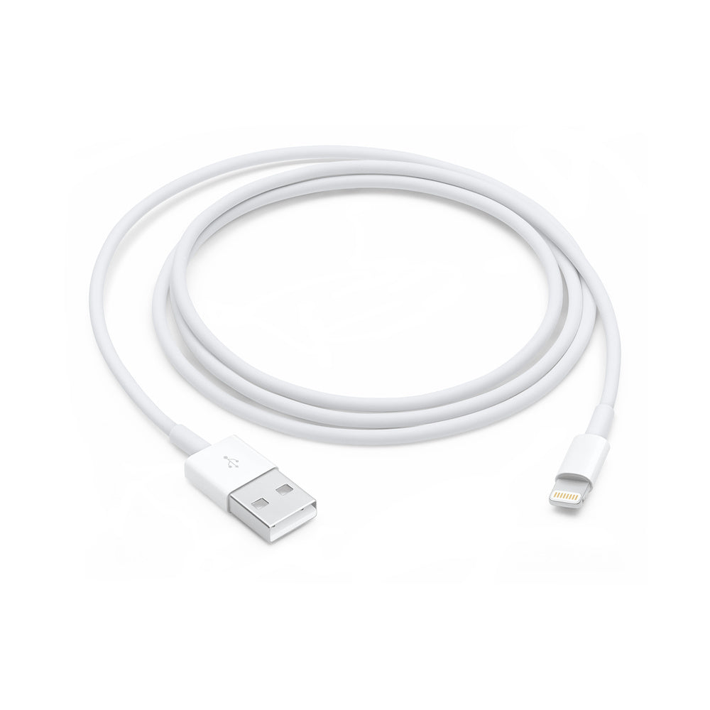 Cavo Apple da Lightning a USB (1 m) 