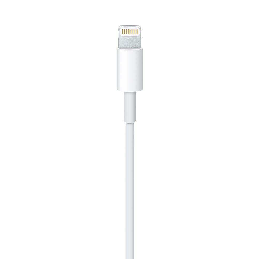 Cavo Apple da Lightning a USB (1 m) 