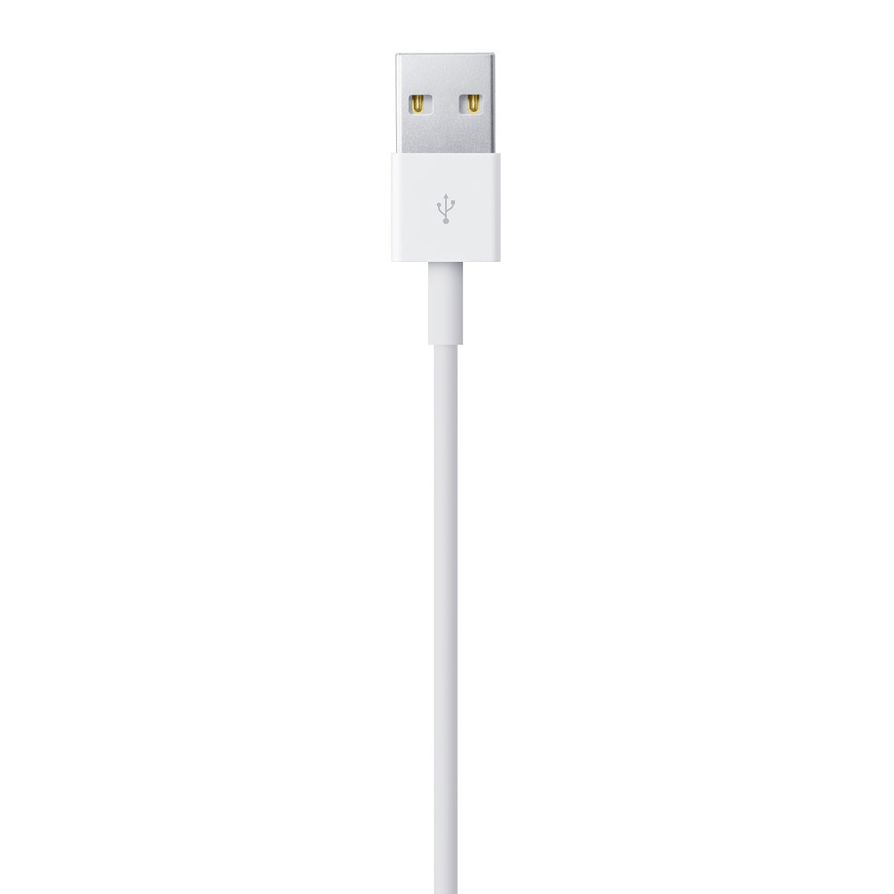Cavo Apple da Lightning a USB (1 m) 